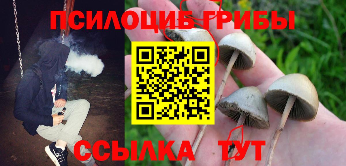 Псилоцибиновые грибы мицелий Каспийск