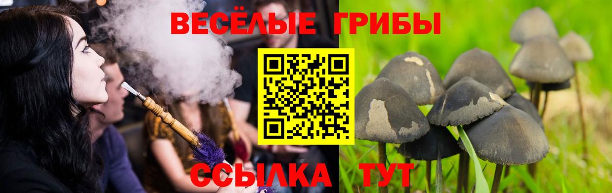 Каспийск  Галлюциногенные грибы Magic Shrooms  Вход с VPN 